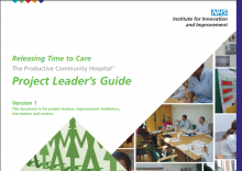 Project Leader’s Guide: (The Productive Community Hospital)
